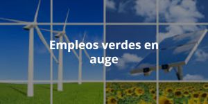 articulo imagen