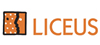 Cursos en: LICEUS, CENTRO DE FORMACIN ON LINE