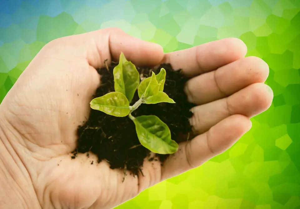 LAS EMPRESAS RESPETUOSAS CON EL MEDIO AMBIENTE TIENEN UNA MAYOR PRODUCTIVIDAD imagen 1