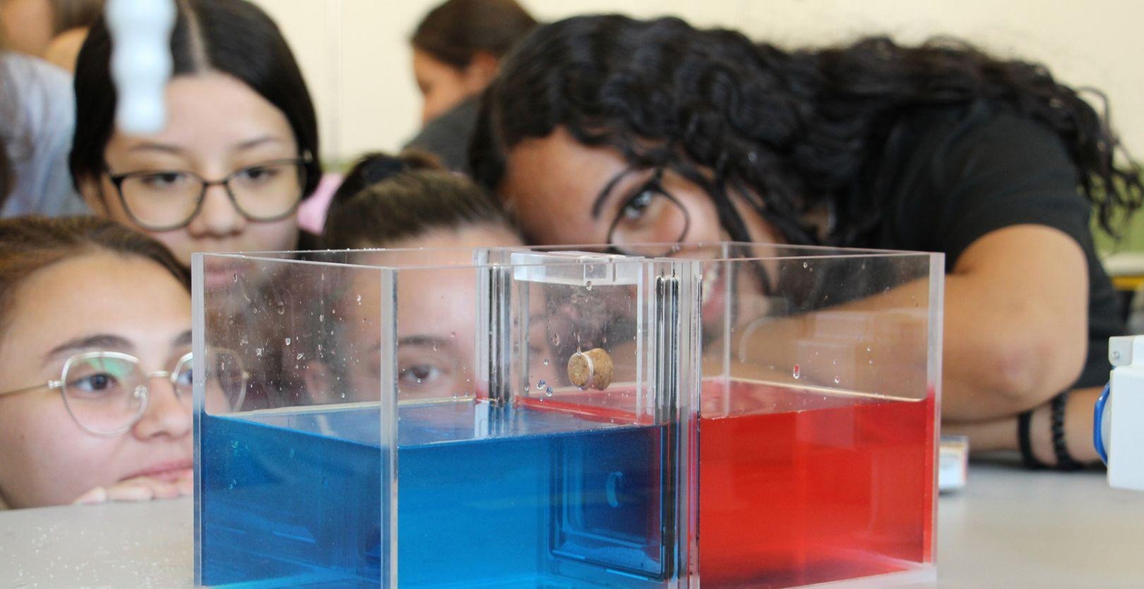 El Ministerio de Ciencia e Innovación conmemora la Semana de la Ciencia con aproximadamente 270 eventos imagen 1