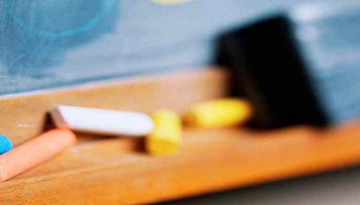 MÁSTER EN LA ENSEÑANZA EN COMPETENCIAS Online
