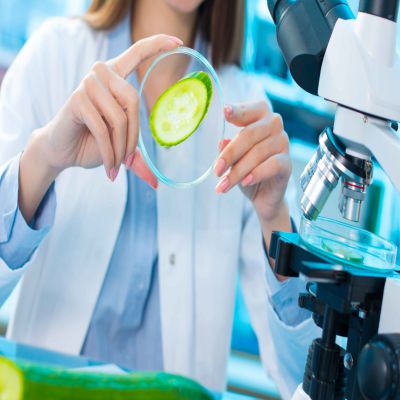 Postgrado de Técnico en la Industria Alimentaria + Titulación Universitaria