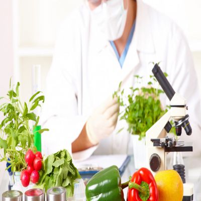 MÁSTER EN SEGURIDAD ALIMENTARIA Online