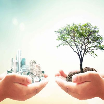 POSTGRADO EN SENSIBILIZACION AMBIENTAL - UNIVERSITAT DE BARCELONA A Distancia