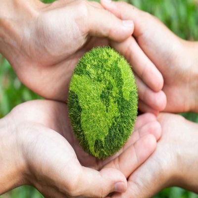 MÁSTER EN AUDITORÍA - GESTIÓN MEDIOAMBIENTAL Y CALIDAD DE LA EMPRESA A Distancia