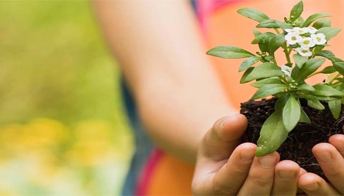 MÁSTER UNIVERSITARIO EN ANTROPOLOGÍA EVOLUCIONISTA - IDENTIDAD Y DIVERSIDAD HUMANAS Online