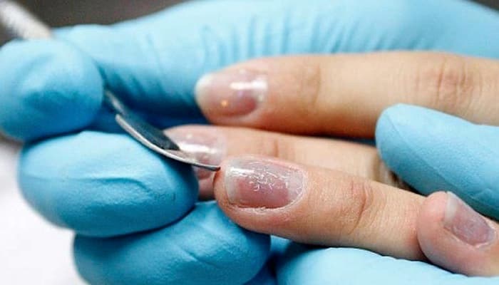 MÁSTER UNIVERSITARIO EN ANTROPOLOGÍA EVOLUCIONISTA - IDENTIDAD Y DIVERSIDAD HUMANAS Online
