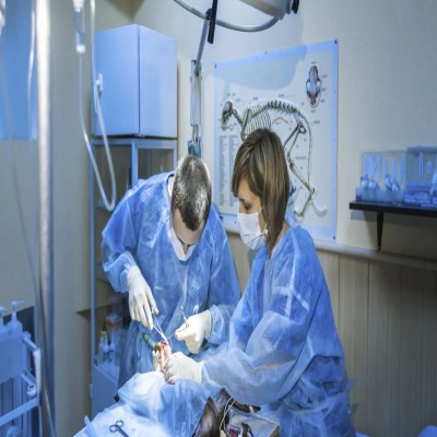 Máster en Asistencia a la Atención Clínica en Centros Veterinarios