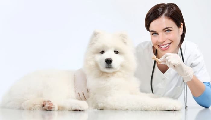 MÁSTER UNIVERSITARIO EN ANTROPOLOGÍA EVOLUCIONISTA - IDENTIDAD Y DIVERSIDAD HUMANAS Online