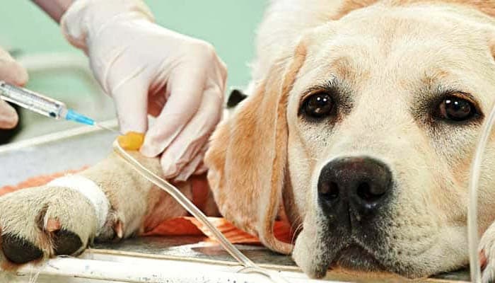 MÁSTER TÉCNICO SUPERIOR EN  PREVENCIÓN DE RIESGOS LABORALES A Distancia