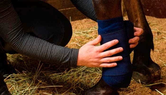 MÁSTER HOMOLOGADO EN GESTIÓN INTEGRADA - CALIDAD - MEDIO AMBIENTE Y PREVENCIÓN DE RIESGOS LABORALES A Distancia