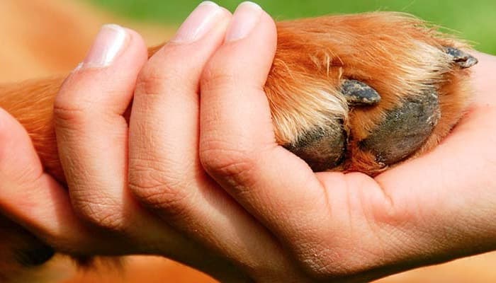 MÁSTER HOMOLOGADO EN GESTIÓN INTEGRADA - CALIDAD - MEDIO AMBIENTE Y PREVENCIÓN DE RIESGOS LABORALES A Distancia