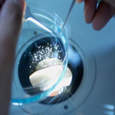 Postgrado en Gestión de Calidad, Técnicas y Métodos de Laboratorio Clínico + Titulación Universitaria
