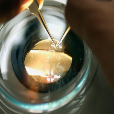 Postgrado en Técnicas y Métodos de Laboratorio Clínico + Titulación Universitaria