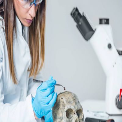 MÁSTER EN SEXOLOGÍA CLÍNICA Y TERAPIA DE PAREJAS At Home, Online