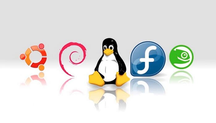 MÁSTER EUROPEO EN TRABAJO SOCIAL Online