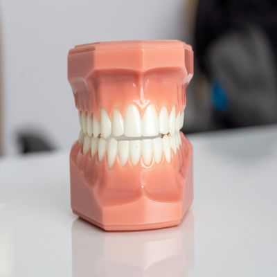Master en Odontología Hospitalaria + 60 Créditos Ects