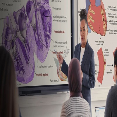 EXPERTO EN CÁNCER PEDIÁTRICO Online