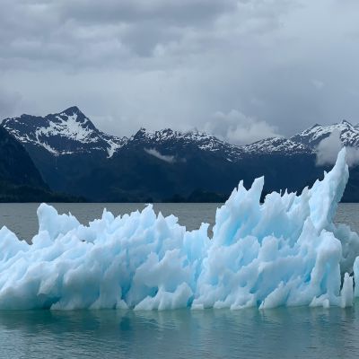 MÁSTER EN CAMBIO CLIMÁTICO Y DESARROLLO SOSTENIBLE  Online