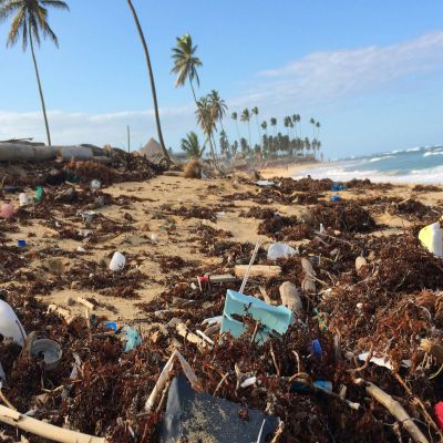 MÁSTER EN CAMBIO CLIMÁTICO A Distancia