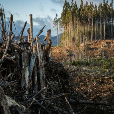 MÁSTER DE CAMBIO CLIMÁTICO Y DESARROLLO SOSTENIBLE Online