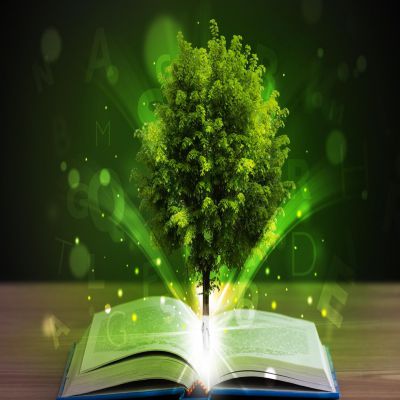 POSTGRADO EN DIAGNOSIS AMBIENTAL - UNIVERSITAT DE BARCELONA A Distancia