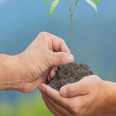 MÁSTER EN AUDITORÍA - GESTIÓN MEDIOAMBIENTAL Y CALIDAD DE LA EMPRESA A Distancia