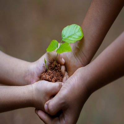 POSTGRADO EN DIAGNOSIS AMBIENTAL - UNIVERSITAT DE BARCELONA A Distancia