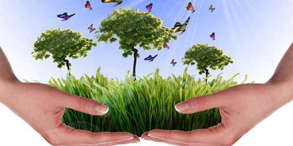 Gestión medioambiental